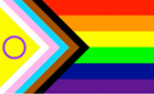 Inclusive flag